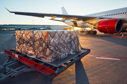 airport crates