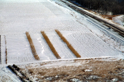 snow fence building