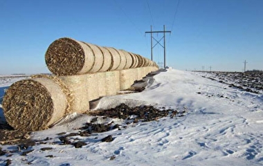 hay bayle snowfence