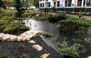 flooded pond with stairs