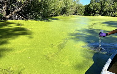 Water quality sampling of a Minnesota stormwater pond