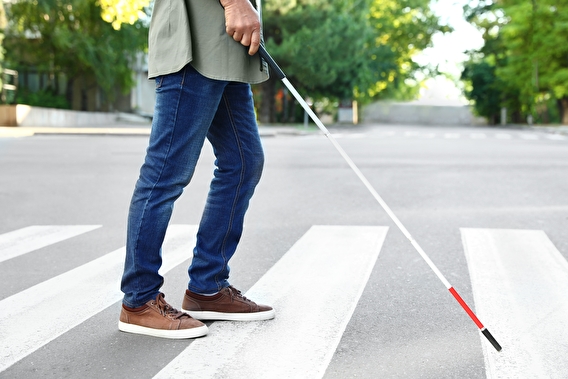 Visually impaired pedestrian using a white can to cross a street at a marked crosswalk