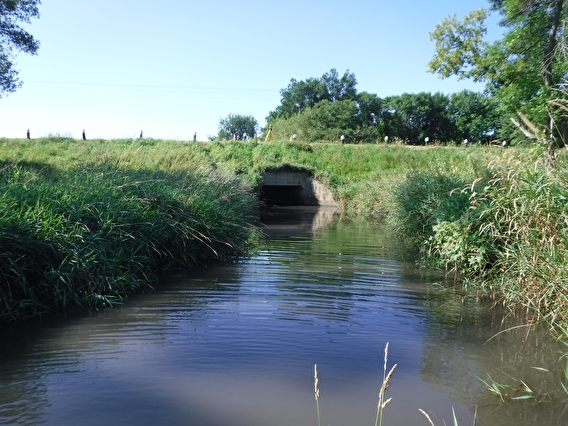 A wide stream running through a culvert under a roadway 