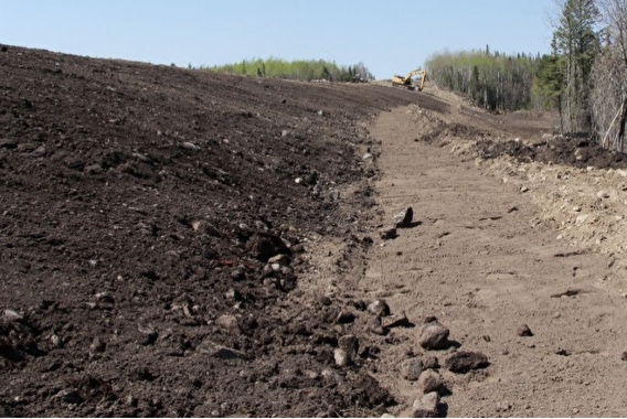 Bioslope and bioswale construction