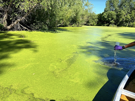 Water quality sampling of a Minnesota stormwater pond 